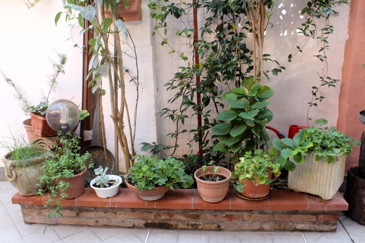 Porta Del Carmine Bed & Breakfast Comacchio Exterior photo